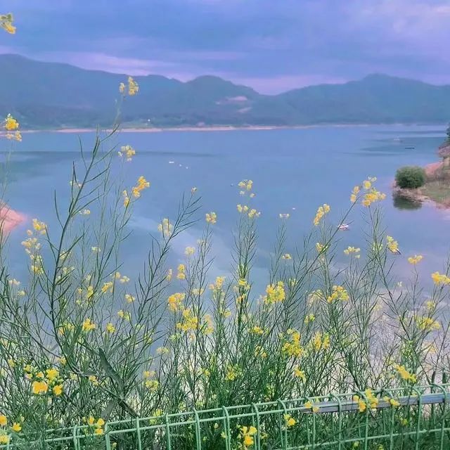 缓缓句子与诗适合发朋友圈的唯美句子,充满正能量,句句走心-句子橘 缓缓句子与诗适合发朋友圈的唯美句子,充满正能量,句句走心-句子橘