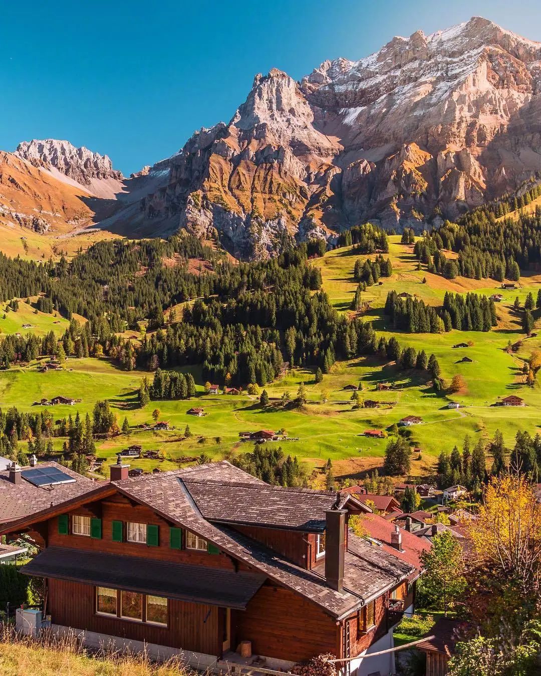 适合晚安发的正能量句子,句句入心,获赞无数-句子橘 适合晚安发的正能量句子,句句入心,获赞无数-句子橘