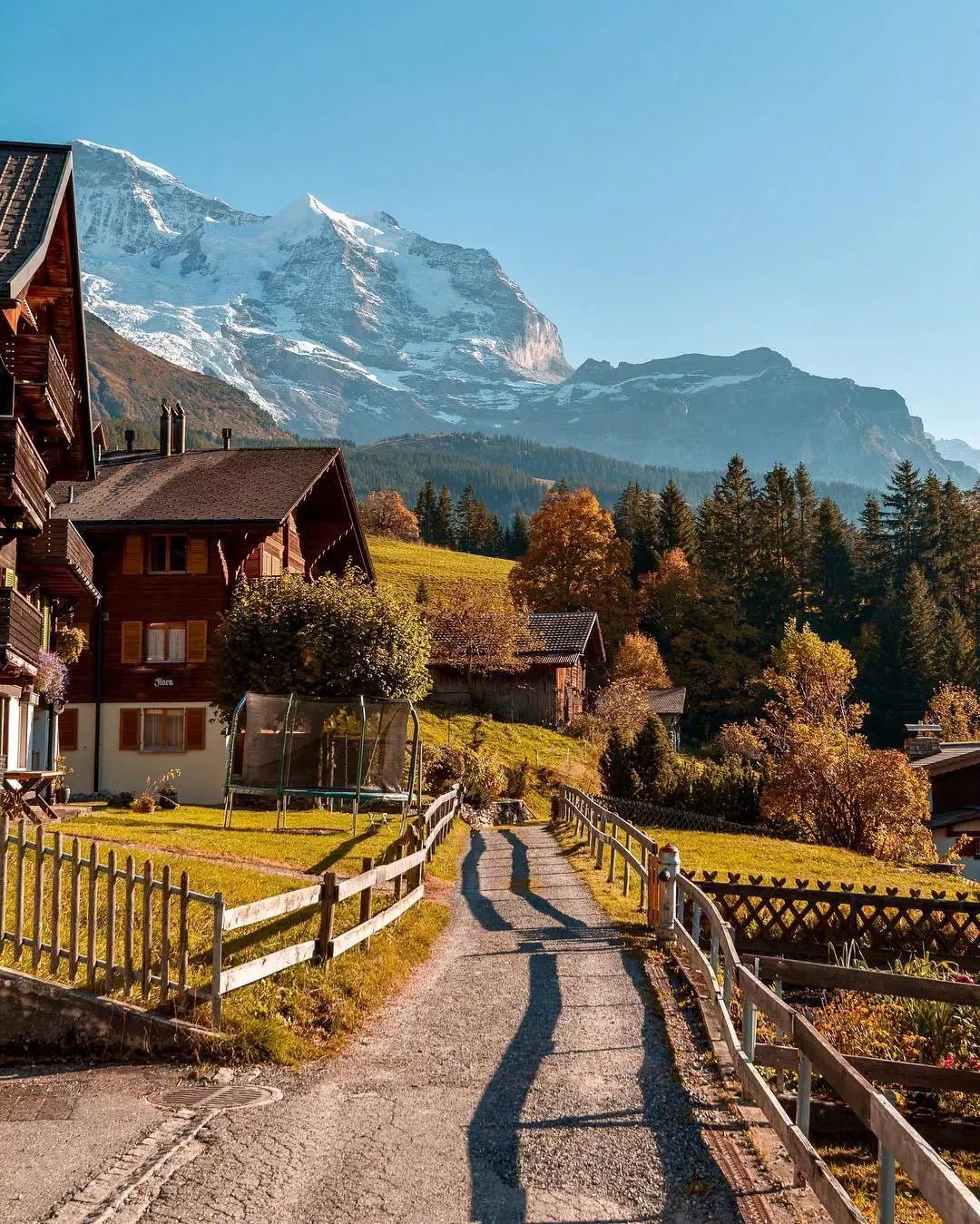 适合晚安发的正能量句子,句句入心,获赞无数-句子橘 适合晚安发的正能量句子,句句入心,获赞无数-句子橘