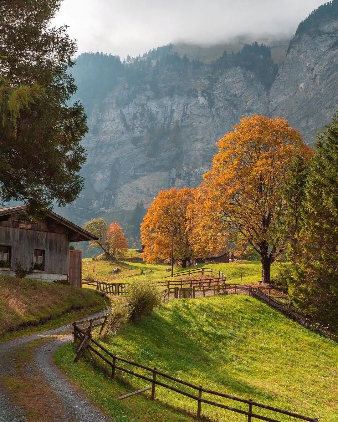 适合晚安发的正能量句子,句句入心,获赞无数-句子橘 适合晚安发的正能量句子,句句入心,获赞无数-句子橘