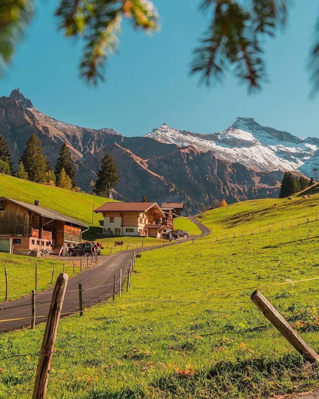 适合晚安发的正能量句子,句句入心,获赞无数-句子橘 适合晚安发的正能量句子,句句入心,获赞无数-句子橘