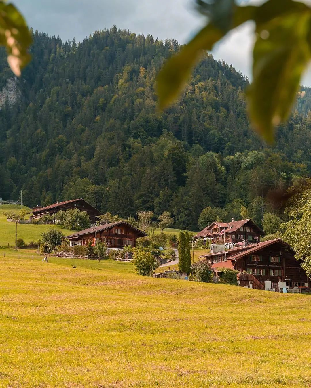 适合晚安发的正能量句子,句句入心,获赞无数-句子橘 适合晚安发的正能量句子,句句入心,获赞无数-句子橘