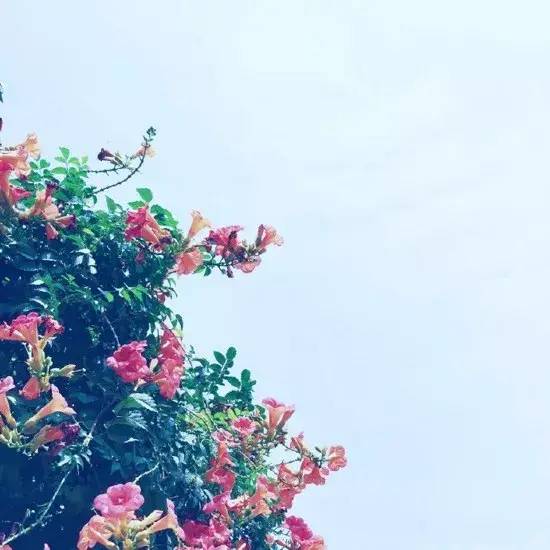 好的正能量句子，适合发朋友圈-句子橘