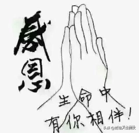 感恩生命中有你相伴
