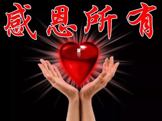 感恩节祝福：因为有你，心存感恩！衷心的祝福送给你最爱的人！
