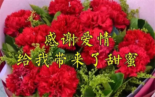 感恩节祝福：因为有你，心存感恩！衷心的祝福送给你最爱的人！