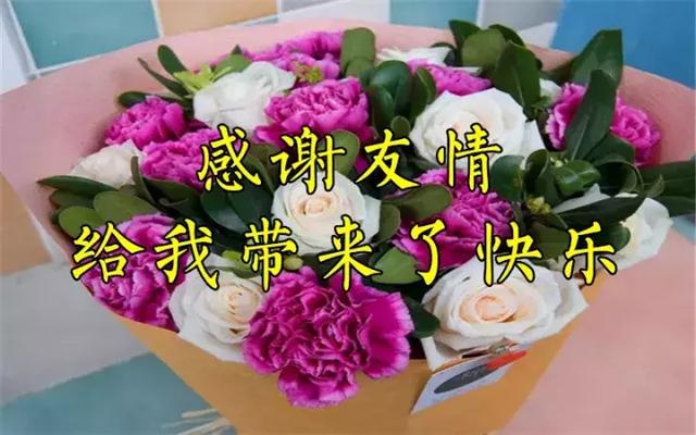 感恩节祝福：因为有你，心存感恩！衷心的祝福送给你最爱的人！