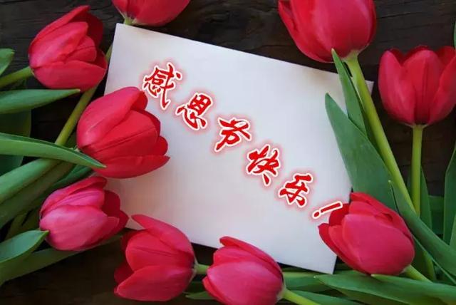 感恩节祝福：因为有你，心存感恩！衷心的祝福送给你最爱的人！
