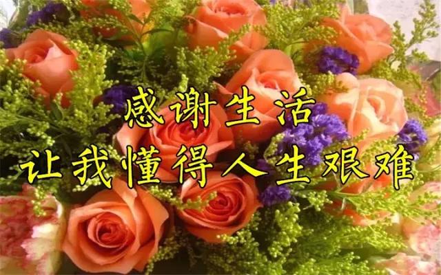 感恩节祝福：因为有你，心存感恩！衷心的祝福送给你最爱的人！