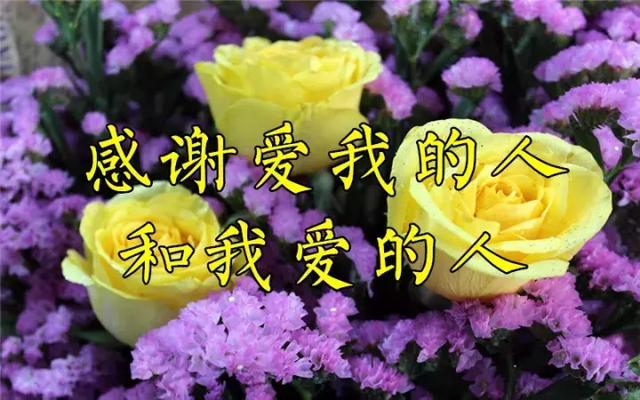 感恩节祝福：因为有你，心存感恩！衷心的祝福送给你最爱的人！