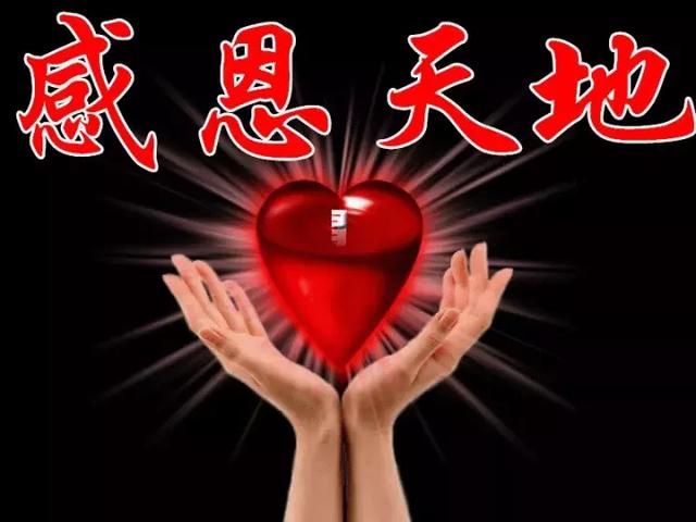 感恩节祝福：因为有你，心存感恩！衷心的祝福送给你最爱的人！
