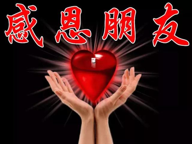 感恩节祝福：因为有你，心存感恩！衷心的祝福送给你最爱的人！