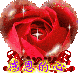 感恩节祝福：因为有你，心存感恩！衷心的祝福送给你最爱的人！