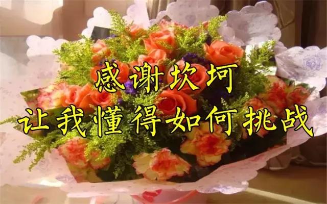 感恩节祝福：因为有你，心存感恩！衷心的祝福送给你最爱的人！