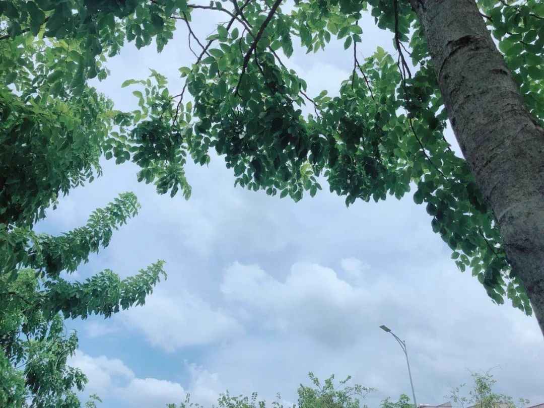 精辟到噎死人的句子,太犀利了,绝对经典!-句子橘