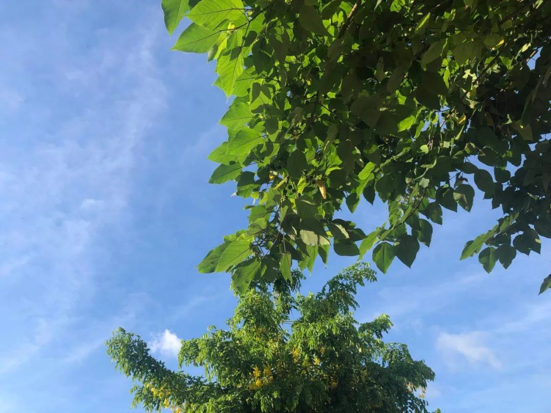 精辟到噎死人的句子,太犀利了,绝对经典!-句子橘