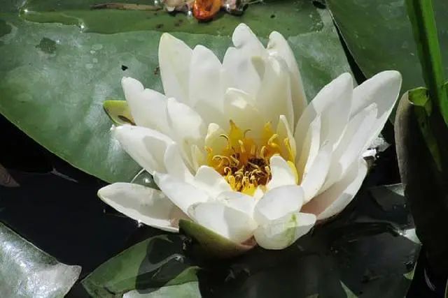 让人受益无穷的正能量句子-句子橘 让人受益无穷的正能量句子-句子橘