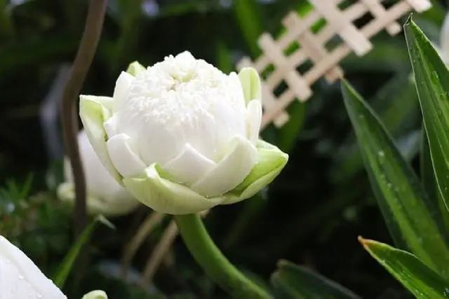 让人受益无穷的正能量句子-句子橘 让人受益无穷的正能量句子-句子橘