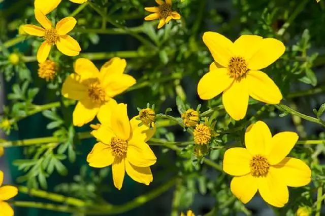 让人受益无穷的正能量句子-句子橘 让人受益无穷的正能量句子-句子橘