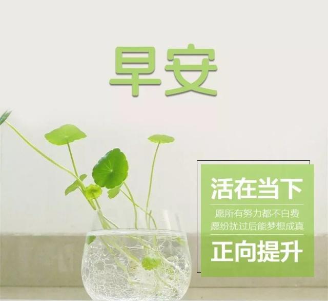 优美句子短句励志早安_(早安励志短语)