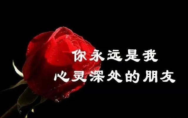 感恩的句子大全(10条感恩句子)