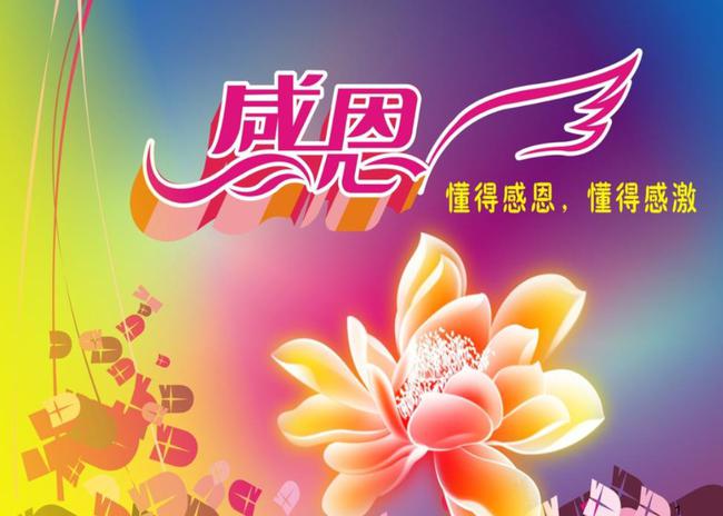 关于感恩的句子简短(感恩20条短句子)