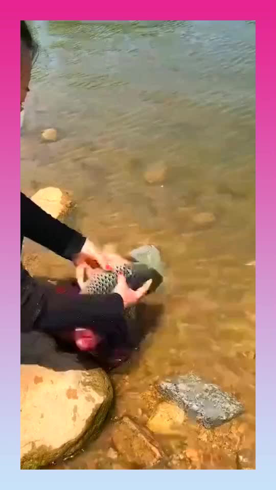 感恩放生的句子(放生禅意的句子)