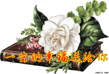 恩情不能忘,真情不能伤!帮过我的人,一辈子不忘