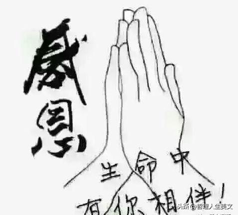感恩生命中有你相伴