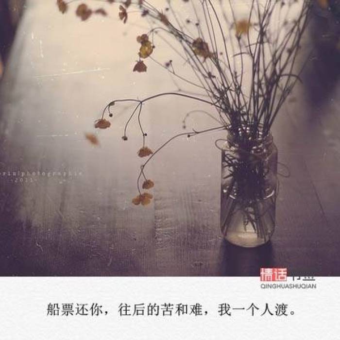 女性励志句子唯美简短_(正能量短句)