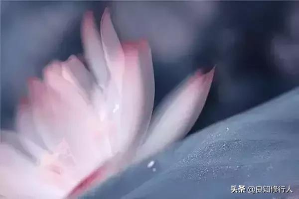 佛语:感恩遇见,不负不欠