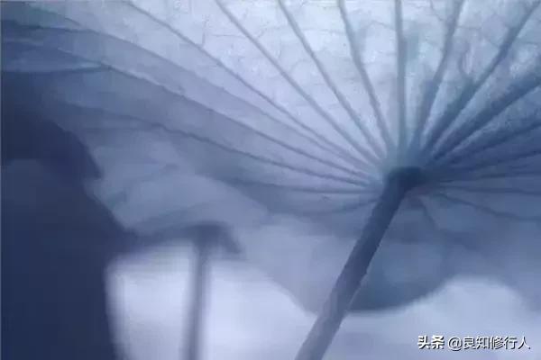 佛语:感恩遇见,不负不欠