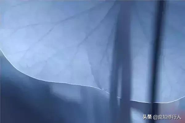 佛语:感恩遇见,不负不欠
