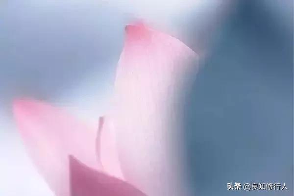 佛语:感恩遇见,不负不欠