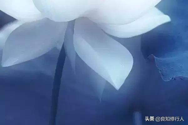 佛语:感恩遇见,不负不欠
