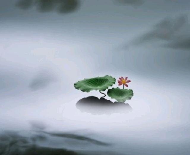 充满智慧的禅语，通透走心，看后让人心静