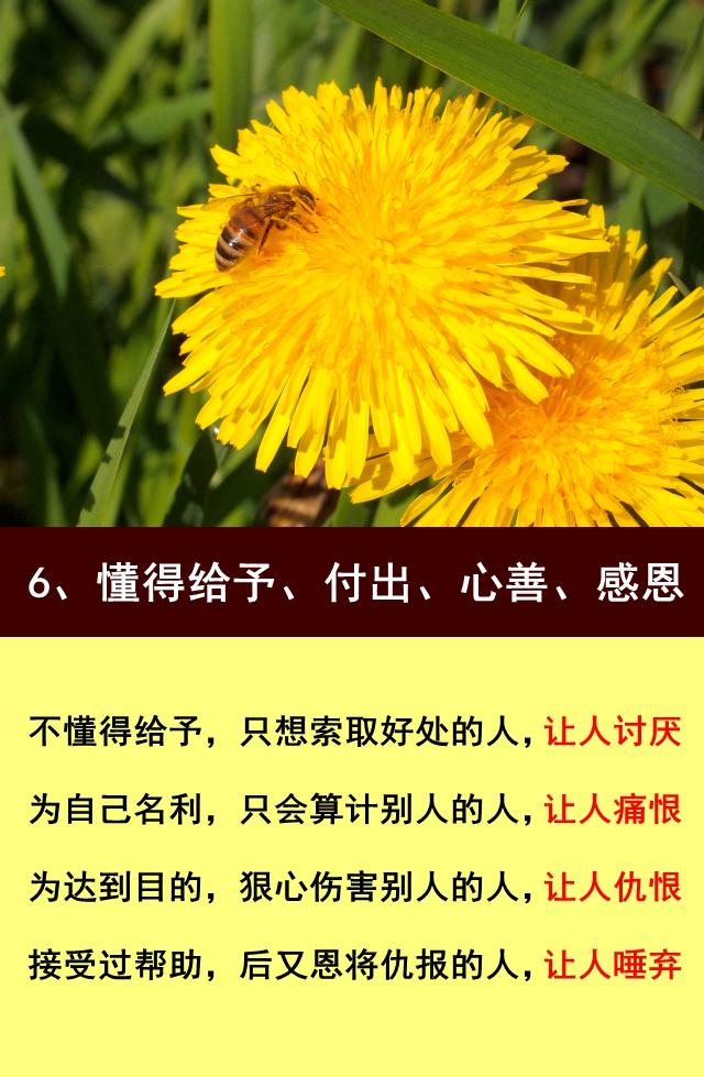 不懂得感恩的句子(不知足的人是不懂感恩的说说)