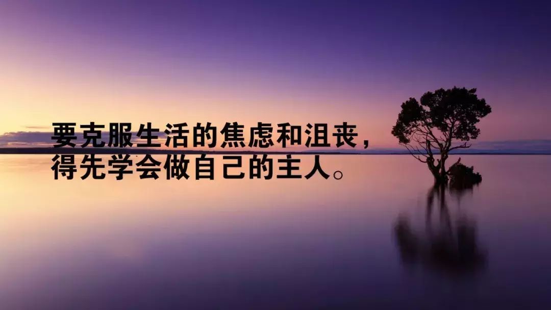 努力奋斗的句子英语【让自己努力的英文句子】