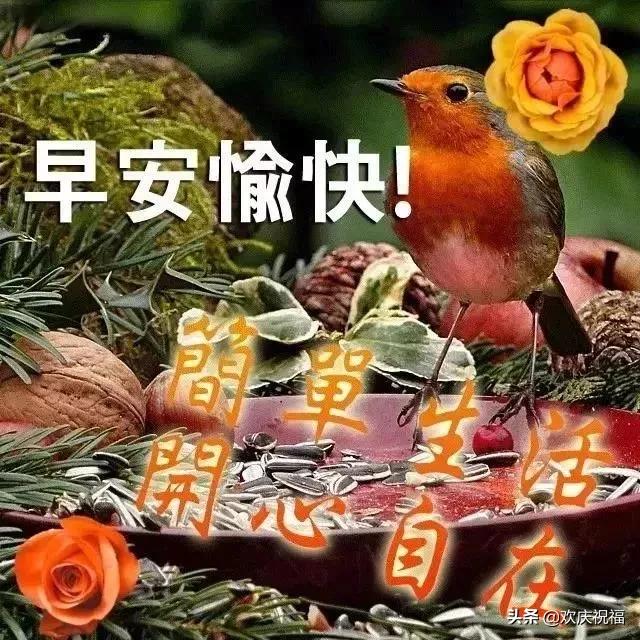 用一颗纯粹的心,感恩遇见,珍惜缘分,早安