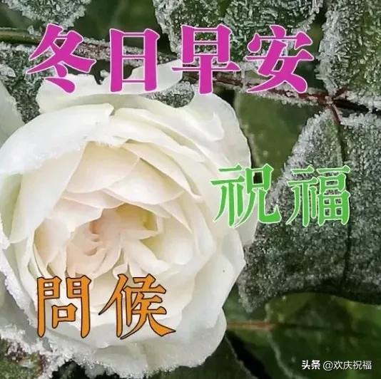 用一颗纯粹的心,感恩遇见,珍惜缘分,早安