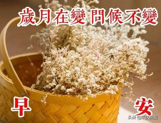 用一颗纯粹的心,感恩遇见,珍惜缘分,早安