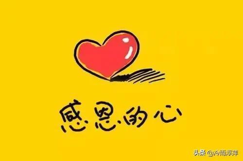 感恩同学的句子好段(感恩同学的句子简短)