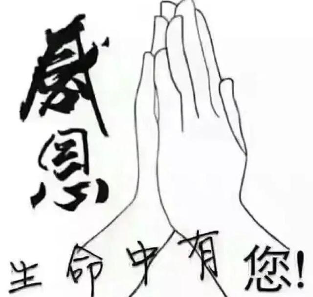 感恩,生命中有你