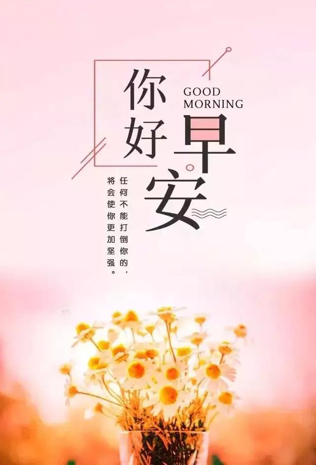 努力奋斗的早安句子,适合发朋友圈的早安心语正能量