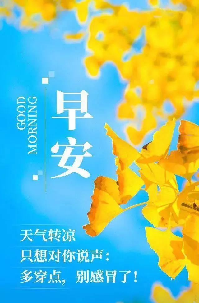 努力奋斗的早安句子,适合发朋友圈的早安心语正能量