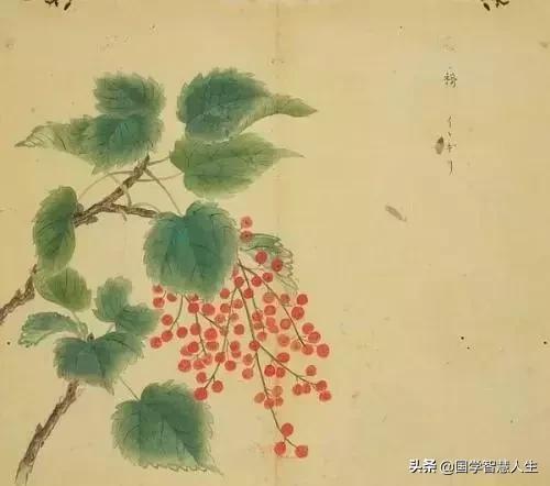 《诗经》教你如何优雅地感恩父母|释古