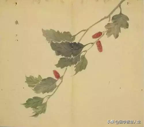 《诗经》教你如何优雅地感恩父母|释古