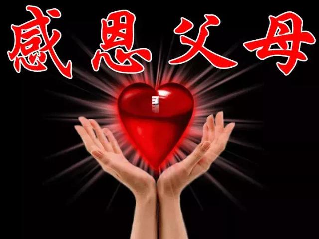 感恩节祝福：因为有你，心存感恩！衷心的祝福送给你最爱的人！