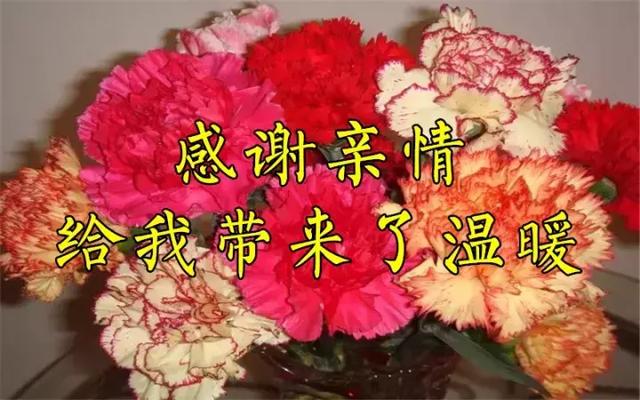 感恩节祝福：因为有你，心存感恩！衷心的祝福送给你最爱的人！