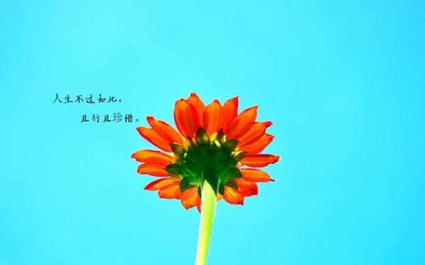快手努力奋斗的句子简短_(发快手搞笑句子简短)